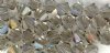 25 Black Diamond 4mm Bicone Swarovski